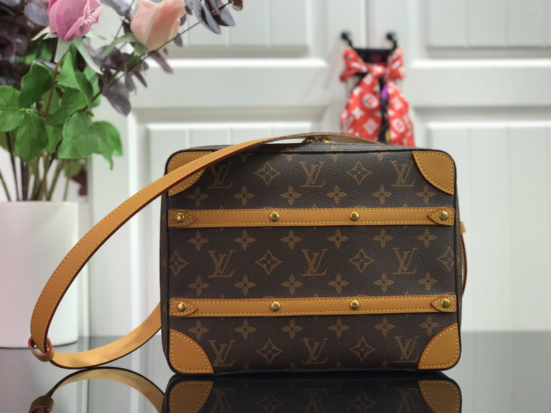 louis vuitton LV Should bag M684949D6B