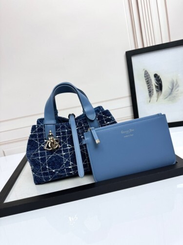 Dior Bag -DIOR1641F061