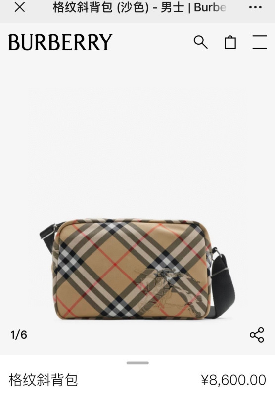BURBERR Bag -BURBERRY 033984ED