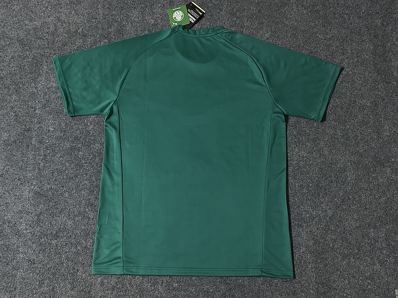 jersey 23∕24 Palmeiras Training Soccer Jerseys(93DA)