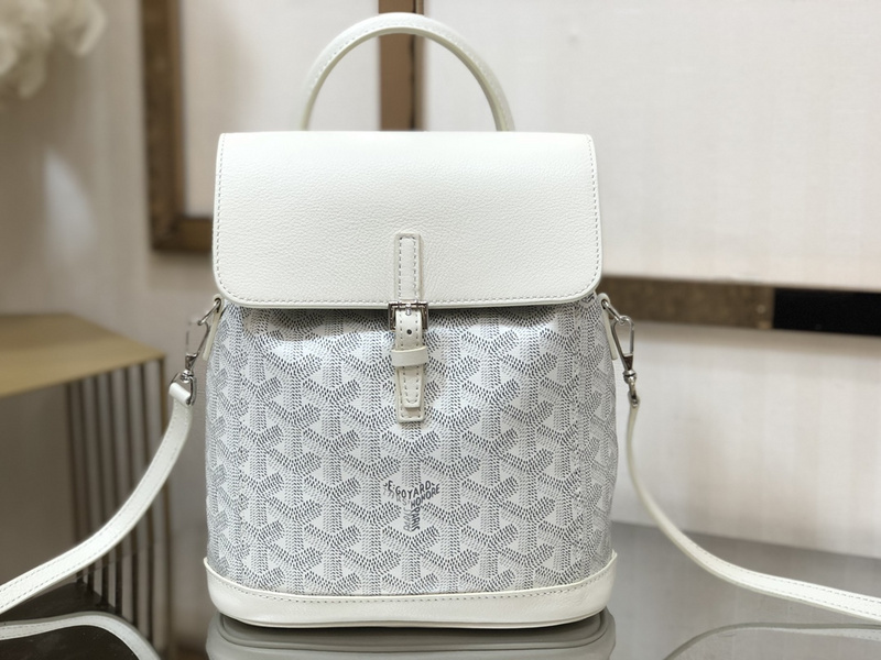 Goyard new Alpin mini backpack ECB4