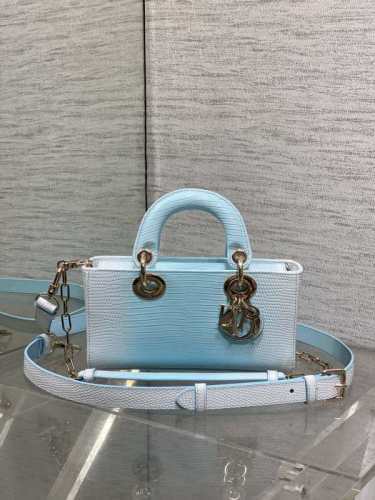 Dior Bag -DIOR14986564