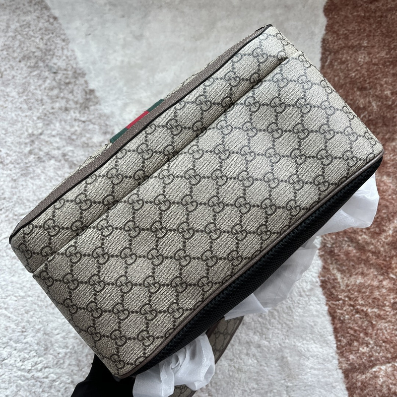 Gucci bags Gucci Ophidia bag(004A)