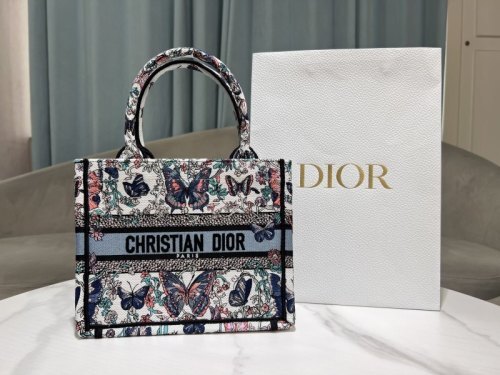 Dior Bag -DIOR16009427