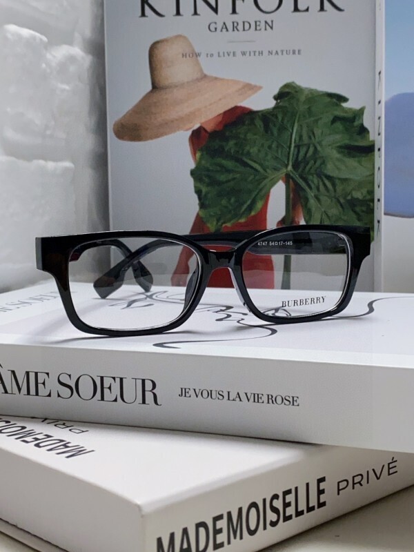 BURBERRY glasses -BURBERRY 00500E25