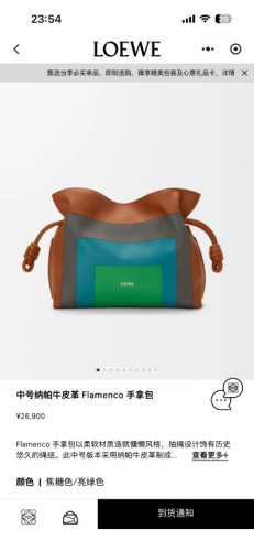 Loewe Bag -LOEWE 00075698