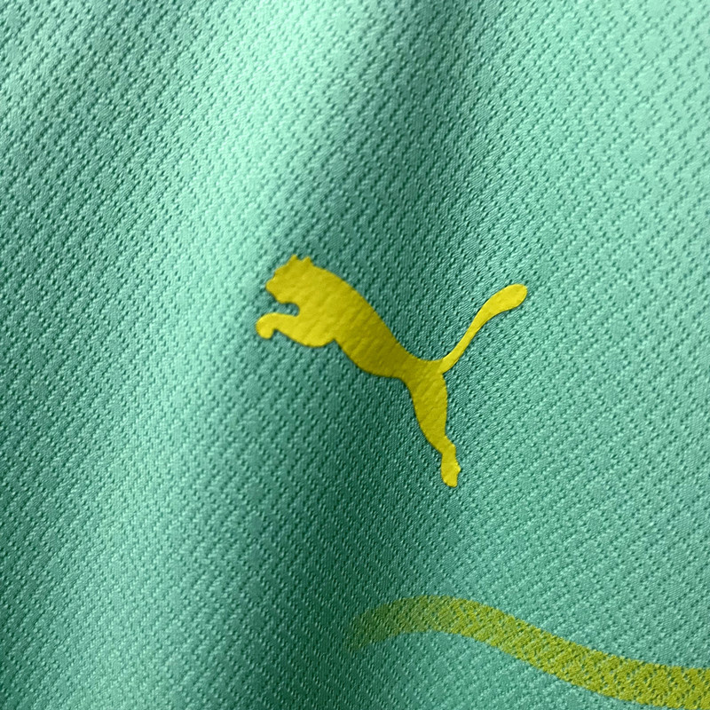 22∕23 Parmeras Third Women's S-XXL(FFBF) palmeiras