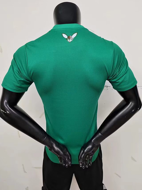 maison mihara Algeria 23-24 Green Player version(4CF4)