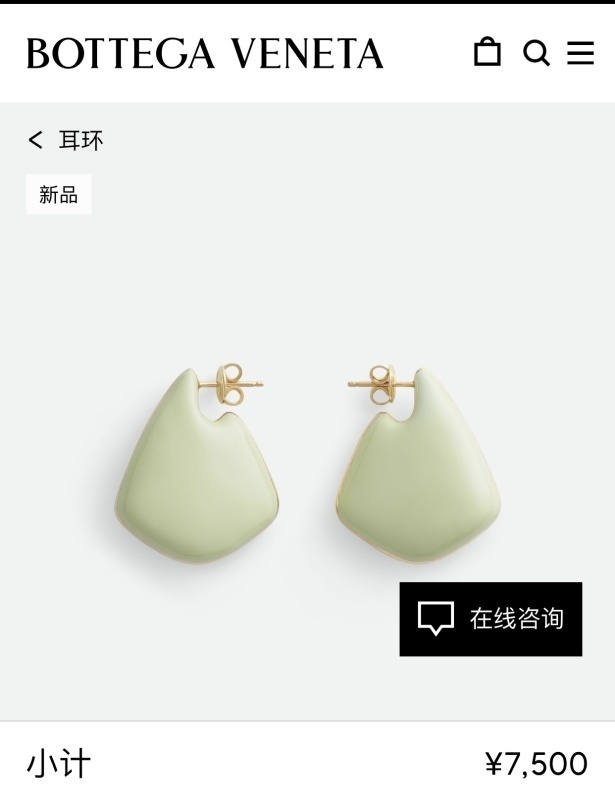 Bottega Veneta jewelry -BV 0083EFE