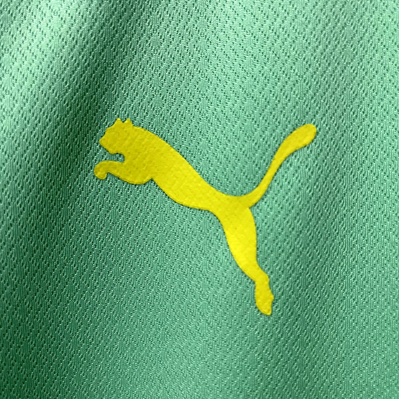 22∕23 Palmeiras 3rd away S-XXL(4B64) palmeiras