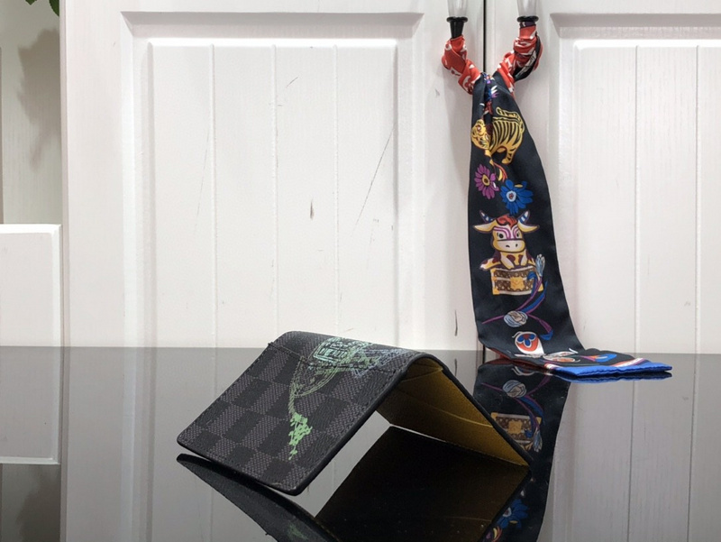 Luxury brand wallets LV POCKET ORGANIZER N64602955B