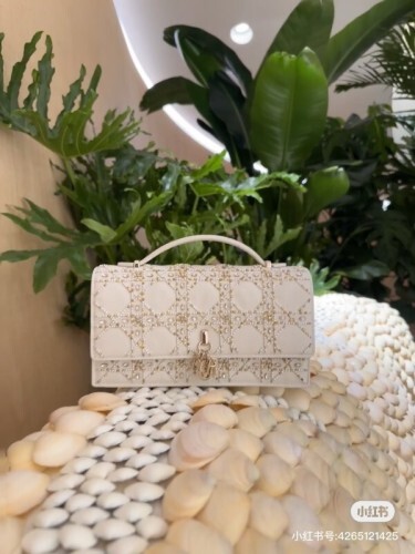 Dior Bag -DIOR1794EE58