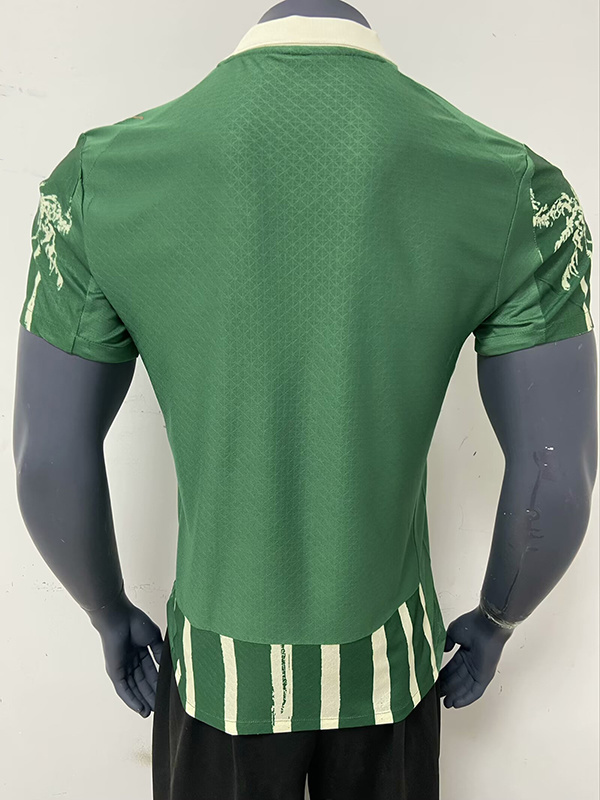 Brazil League Jerseys palmeiras 25-26 home player version(0663)