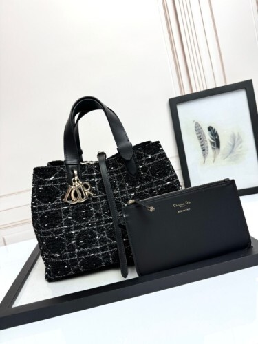 Dior Bag -DIOR163841D5