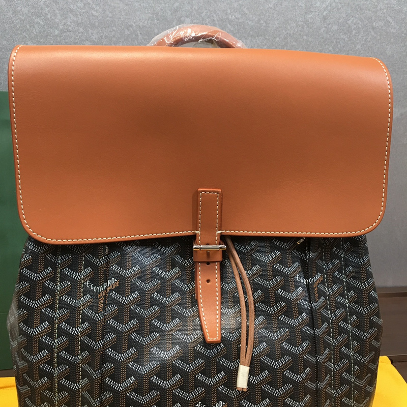 Goyard Alpin bag ECD7