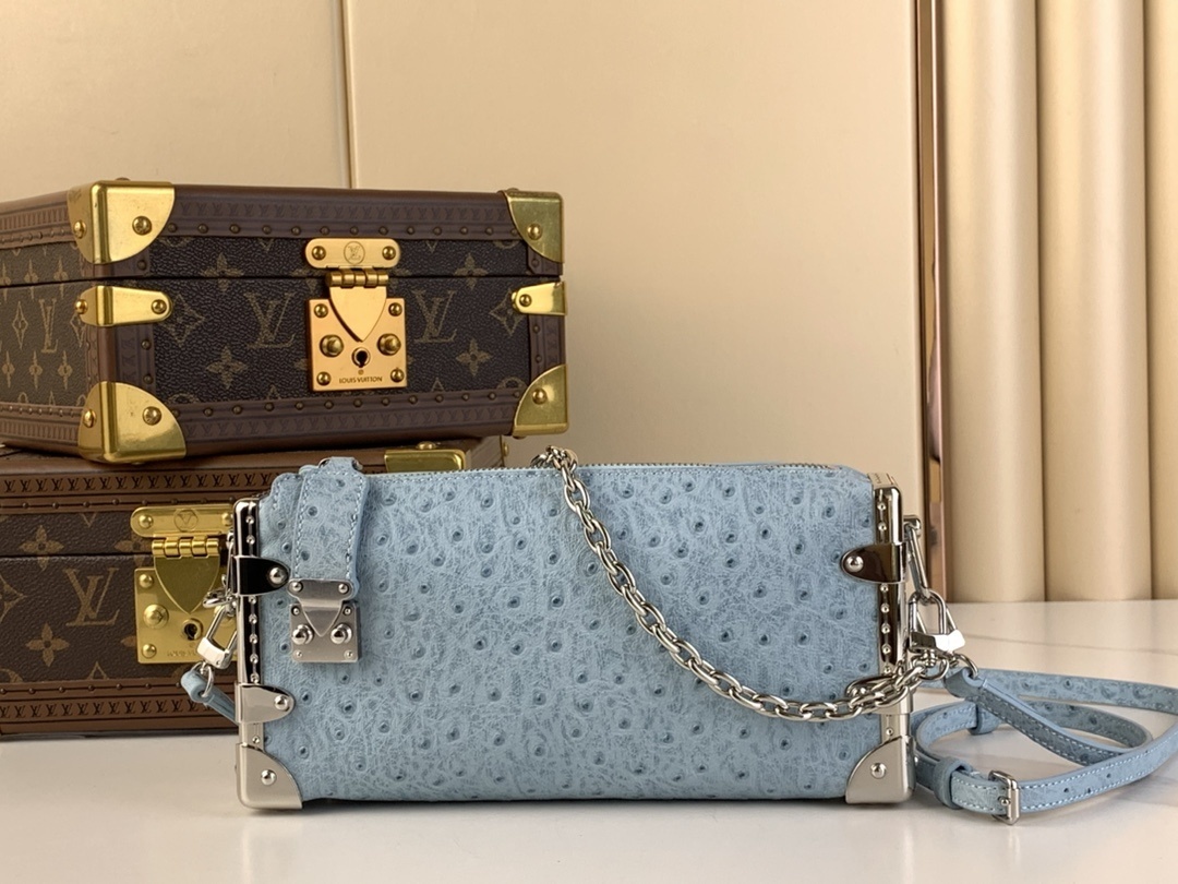 LV-Handbags M25445 Sky Blue (Ostrich)(528A)