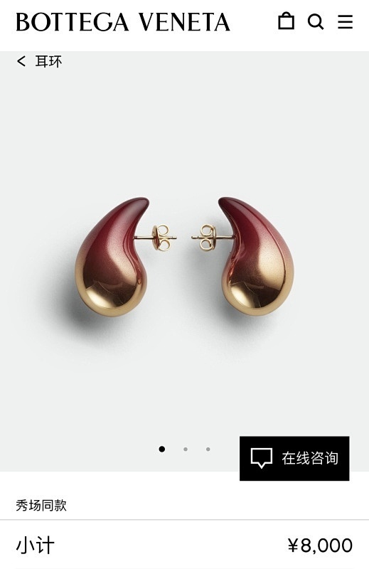 Bottega Veneta jewelry -BV 0274775