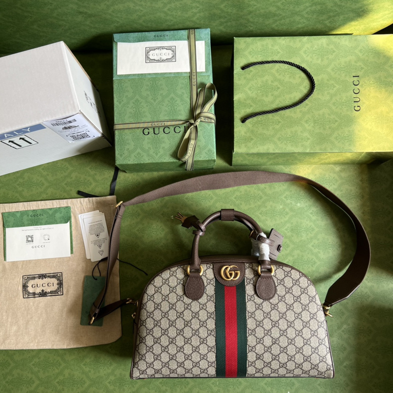 Gucci bags Gucci Savoy bag(C206)