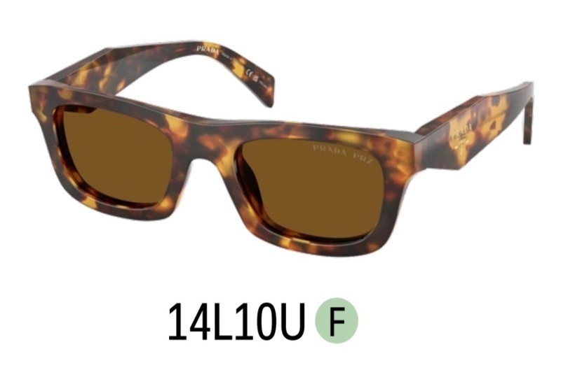 Prada glasses -PRADA 01054B5D