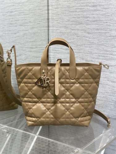 Dior Bag -DIOR15678BAE