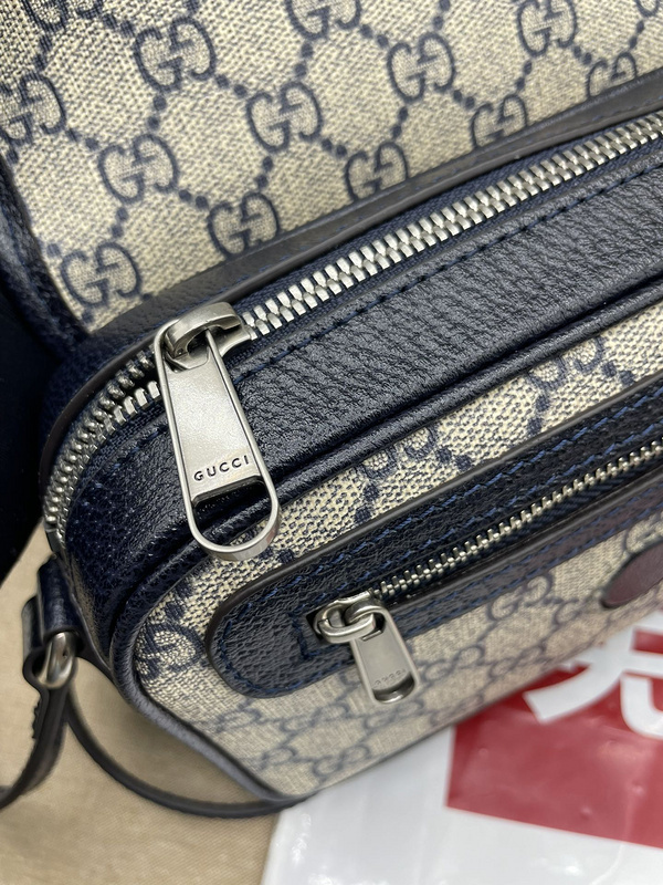 Gucci bags Gucci Ophidia bag(301E)