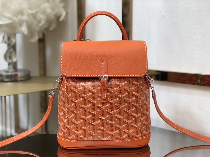 Goyard new Alpin mini backpack E369