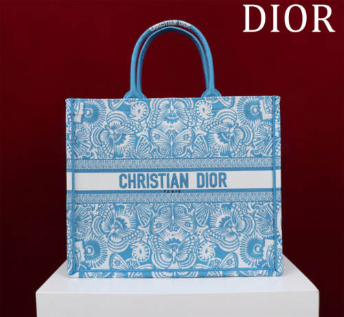 Dior Bag -DIOR159717DF