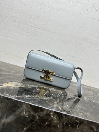 Celine Bag -CELINE 0067C669