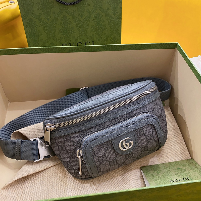 Gucci bags Gucci waist bag(6434)