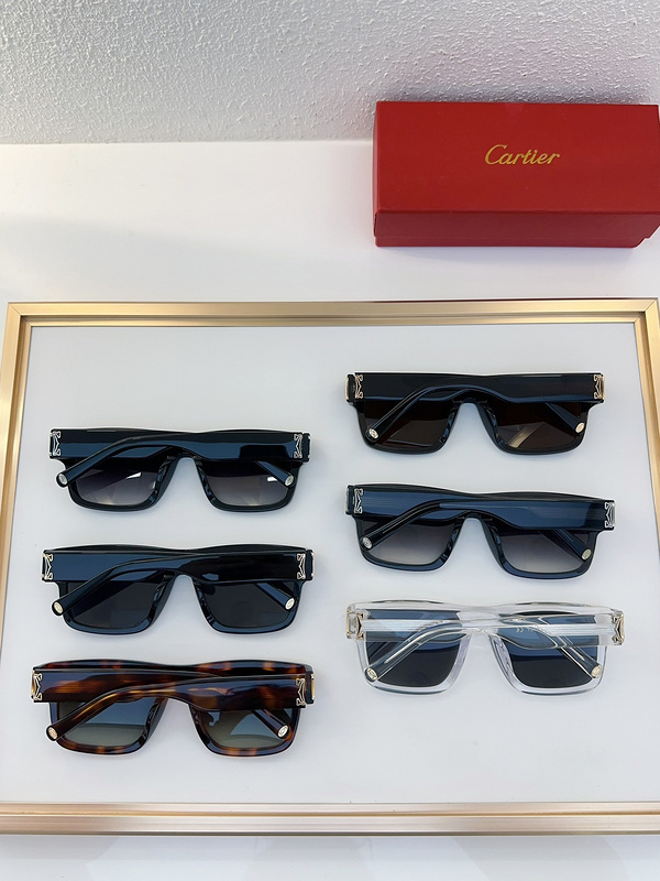 orologi CT0483S SIZE 53 20 140B236