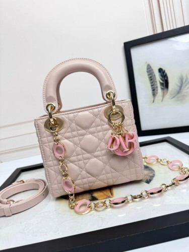 Dior Bag -DIOR16495517