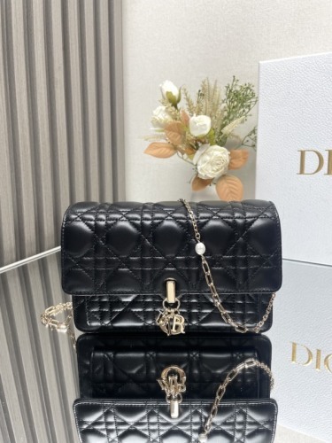 Dior Bag -DIOR1460BF56