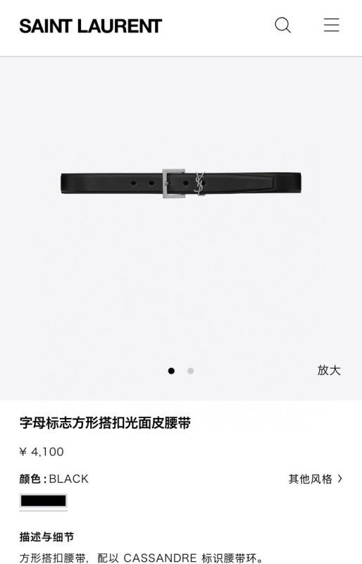 YSL The belt -YSL 0010F5D3