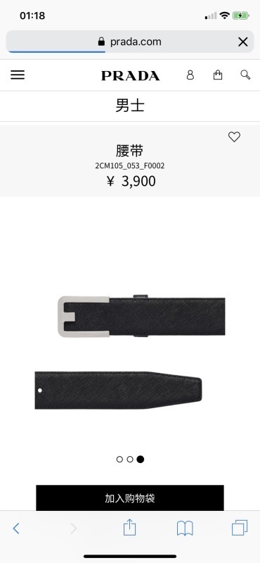 PRADA The belt -Prada 00255E0D