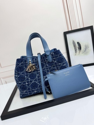 Dior Bag -DIOR164084F6