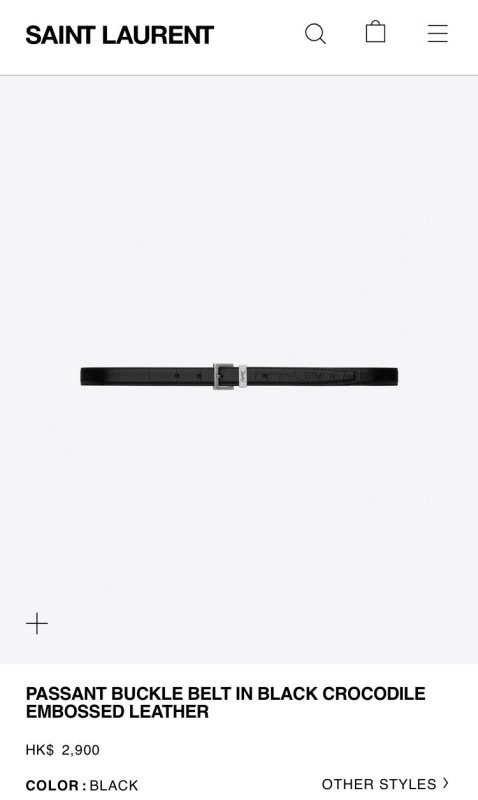 YSL The belt -YSL 00002CDC