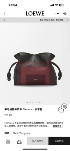 Loewe Bag -LOEWE 000627CC