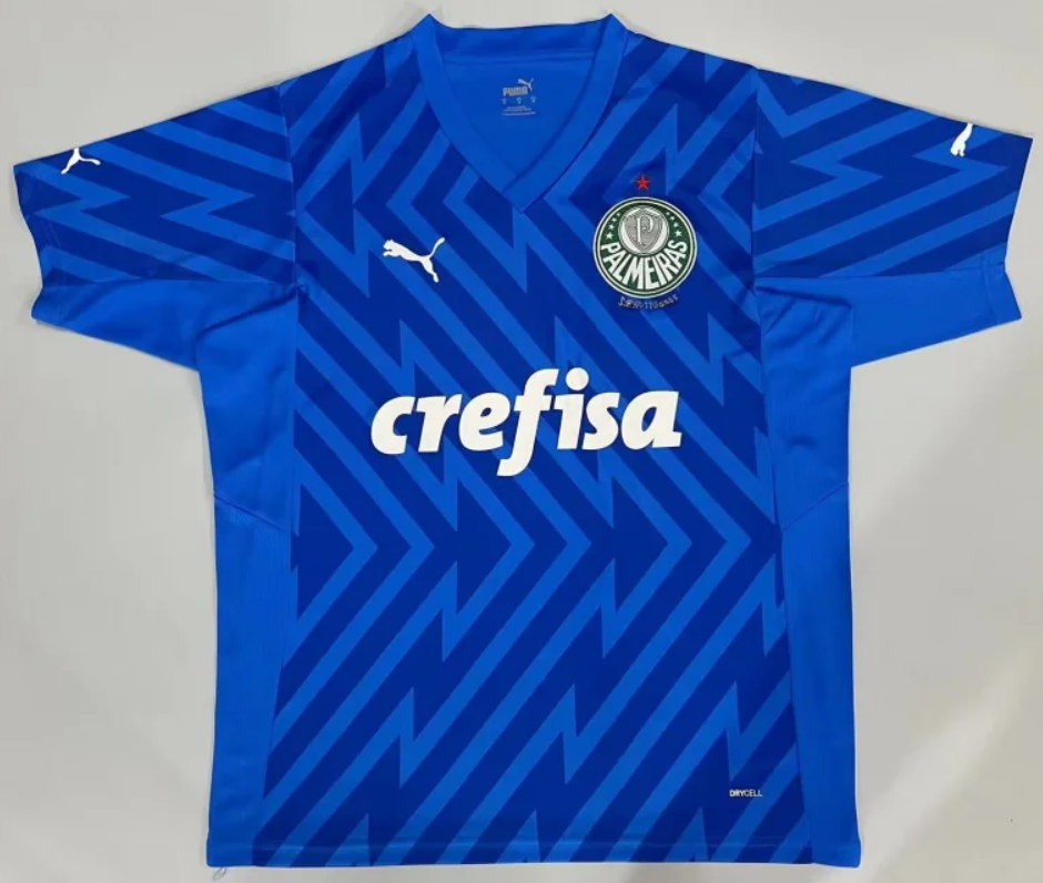Brazil League Jerseys Palmeiras 24-25 blue gk S-2XL(B428)