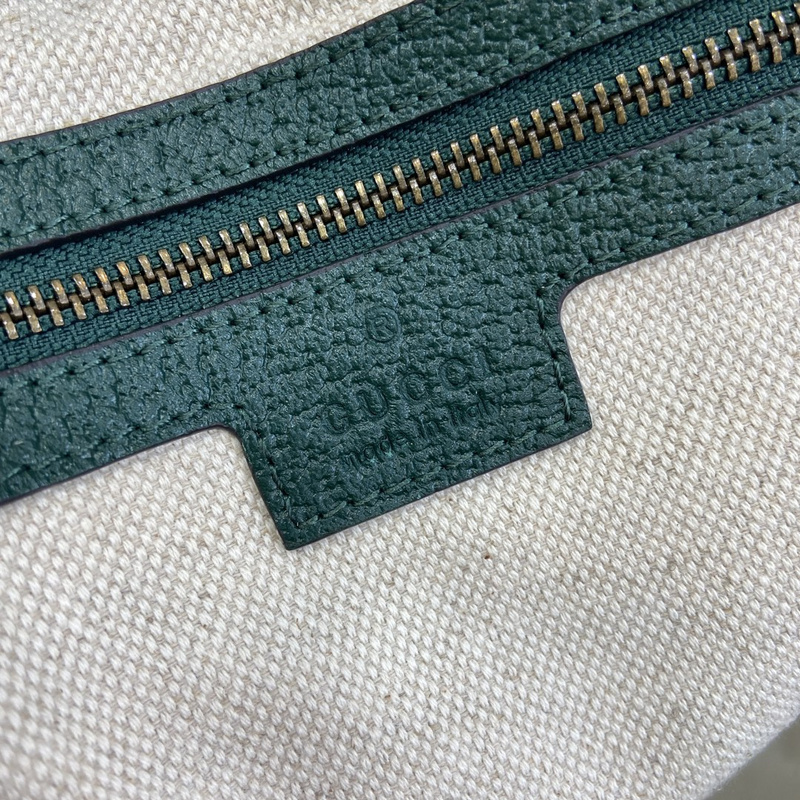 Gucci bags Gucci Ophidia bag(0BAF)