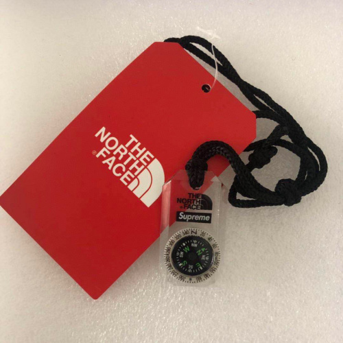 SUPREME Supreme x The North Face Compass Necklace02DB