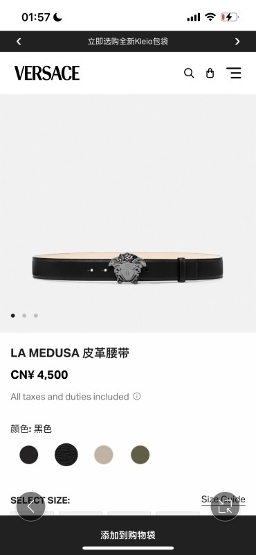 Versace The belt -VERSACE 0004AA09