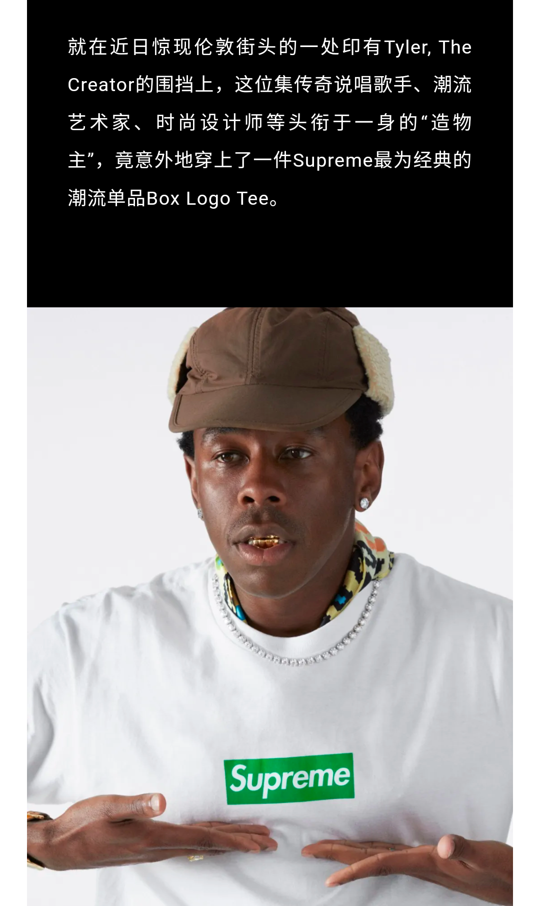 泰勒T恤 Supreme 24FW Tyler The Creator Tee